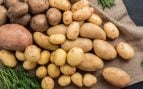 negocio patatas