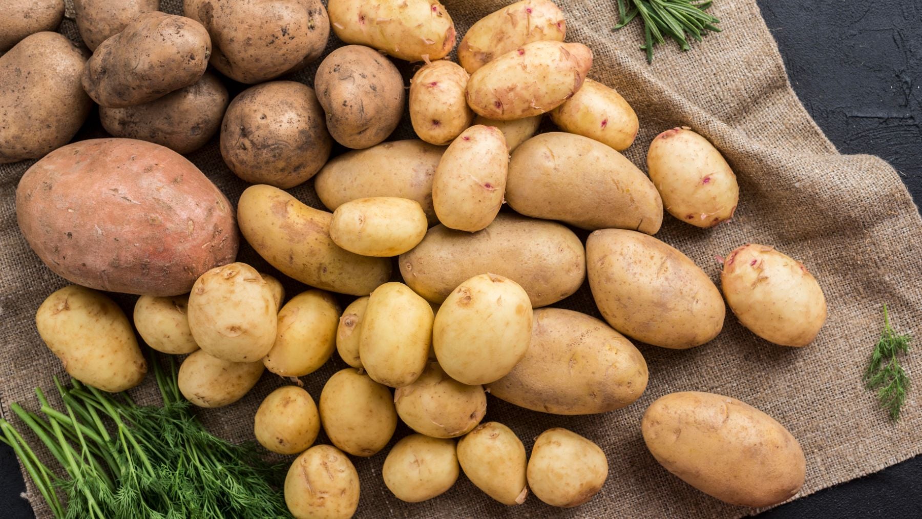 Un negocio familiar vende toneladas de patatas cada fin de semana por solo 53 céntimos el kilo: «Son perfectas para freír»