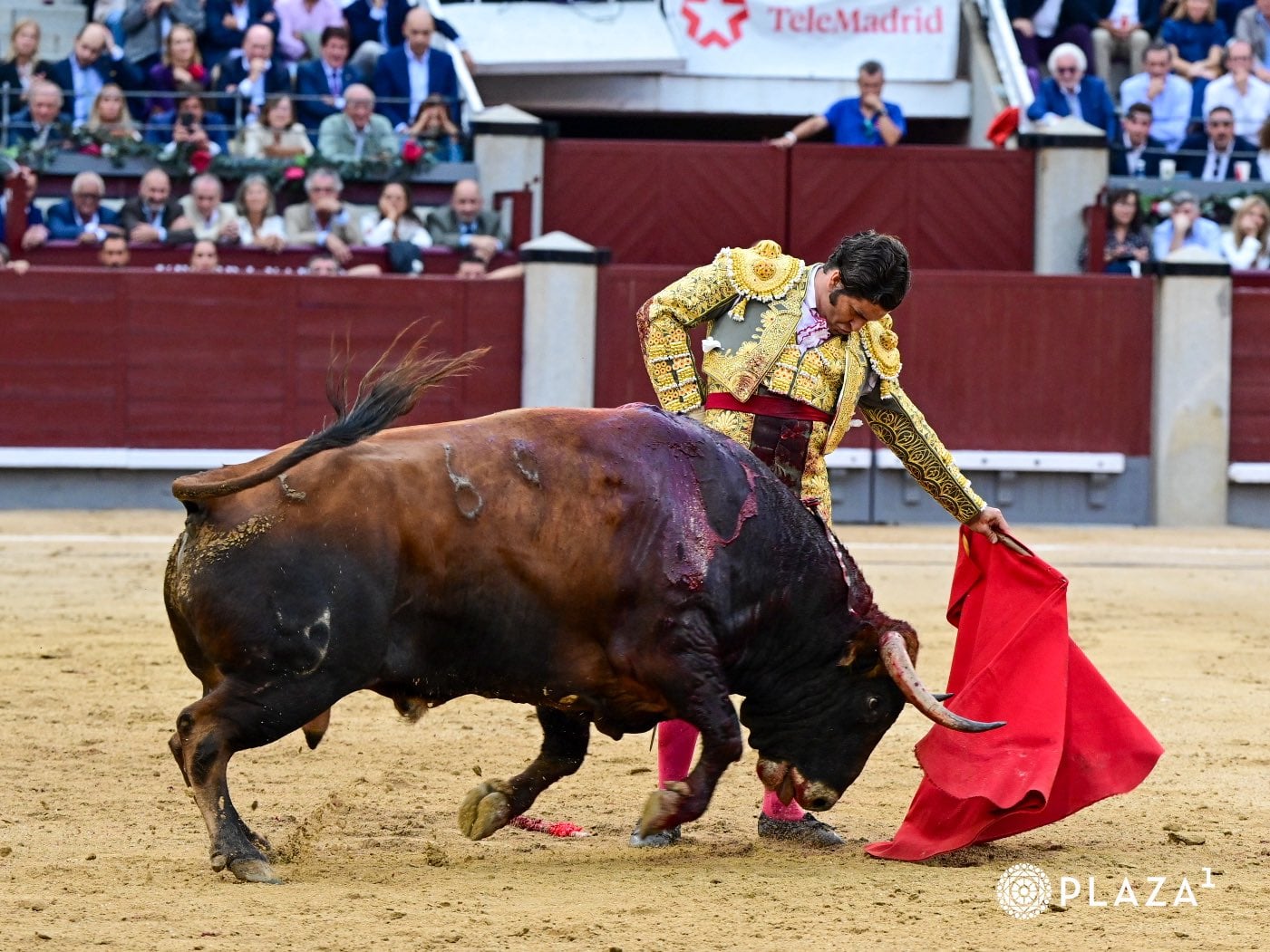 Así ha sido el homenaje a Ceuta en Las Ventas con Morante en el ruedo durante la Corrida de la Hispanidad