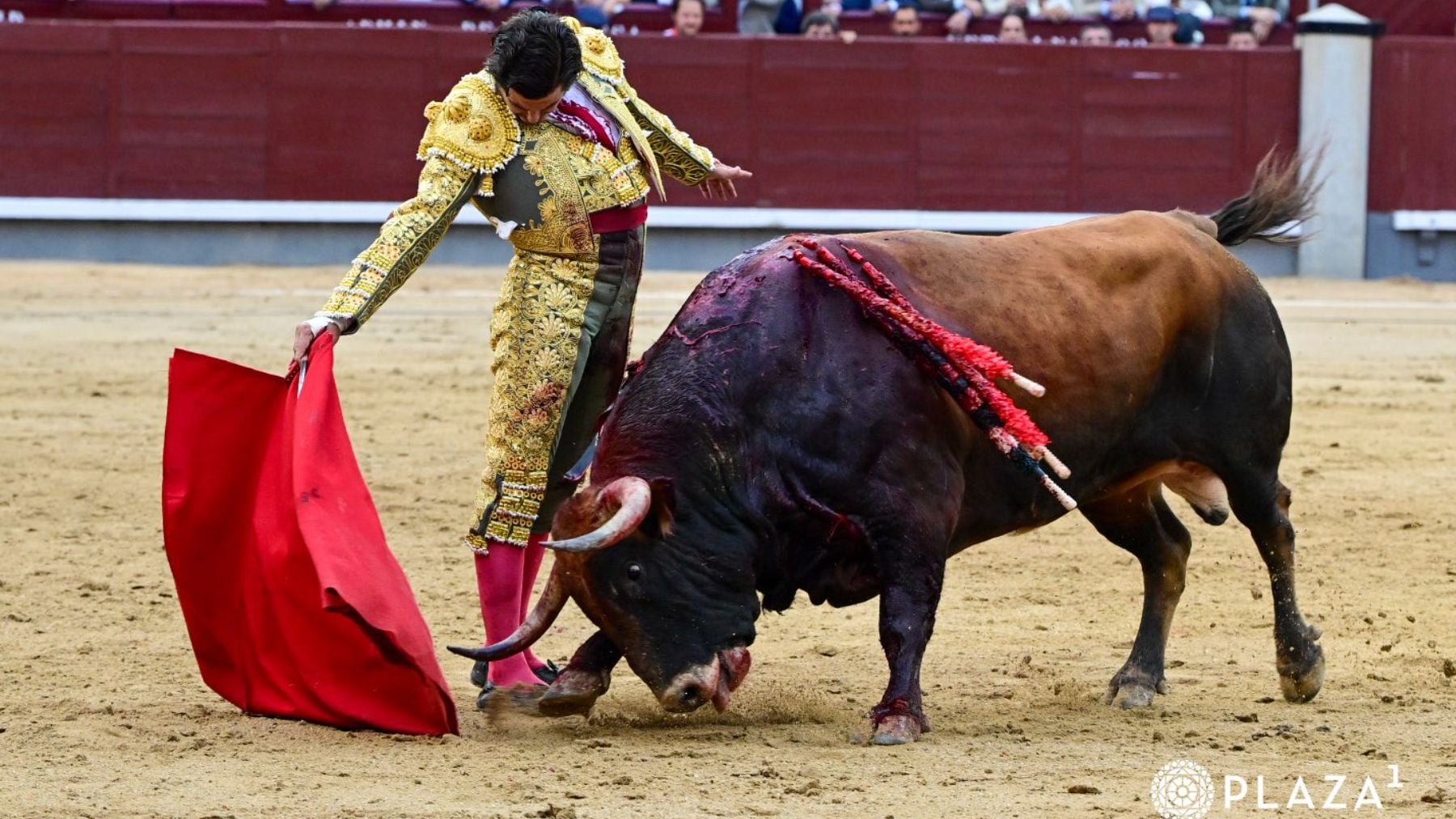 Aarón Palacio deja su sello en su confirmación y Morante dibuja el toreo al natural en la corrida de la Hispanidad