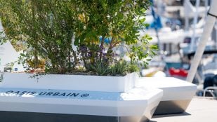 Módulo del oasis urbano de BORVO, con arbustos y flores en una jardinera, junto a un puerto deportivo. Foto: BORVO