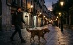 Perros, animales, mascotas