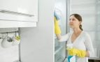 limpieza juntas nevera