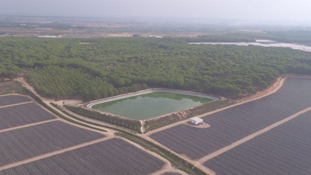 Balsa de agua en Doñana. (Foto: WWF).
