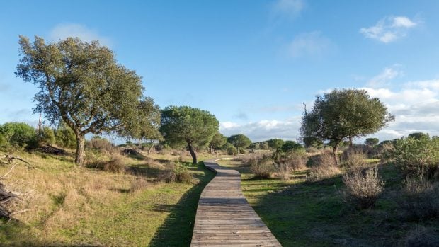 Doñana