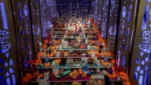 Imagen del Altar de los Muertos de la Fundación Casa de México (2024.