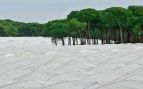 Invernaderos en Doñana