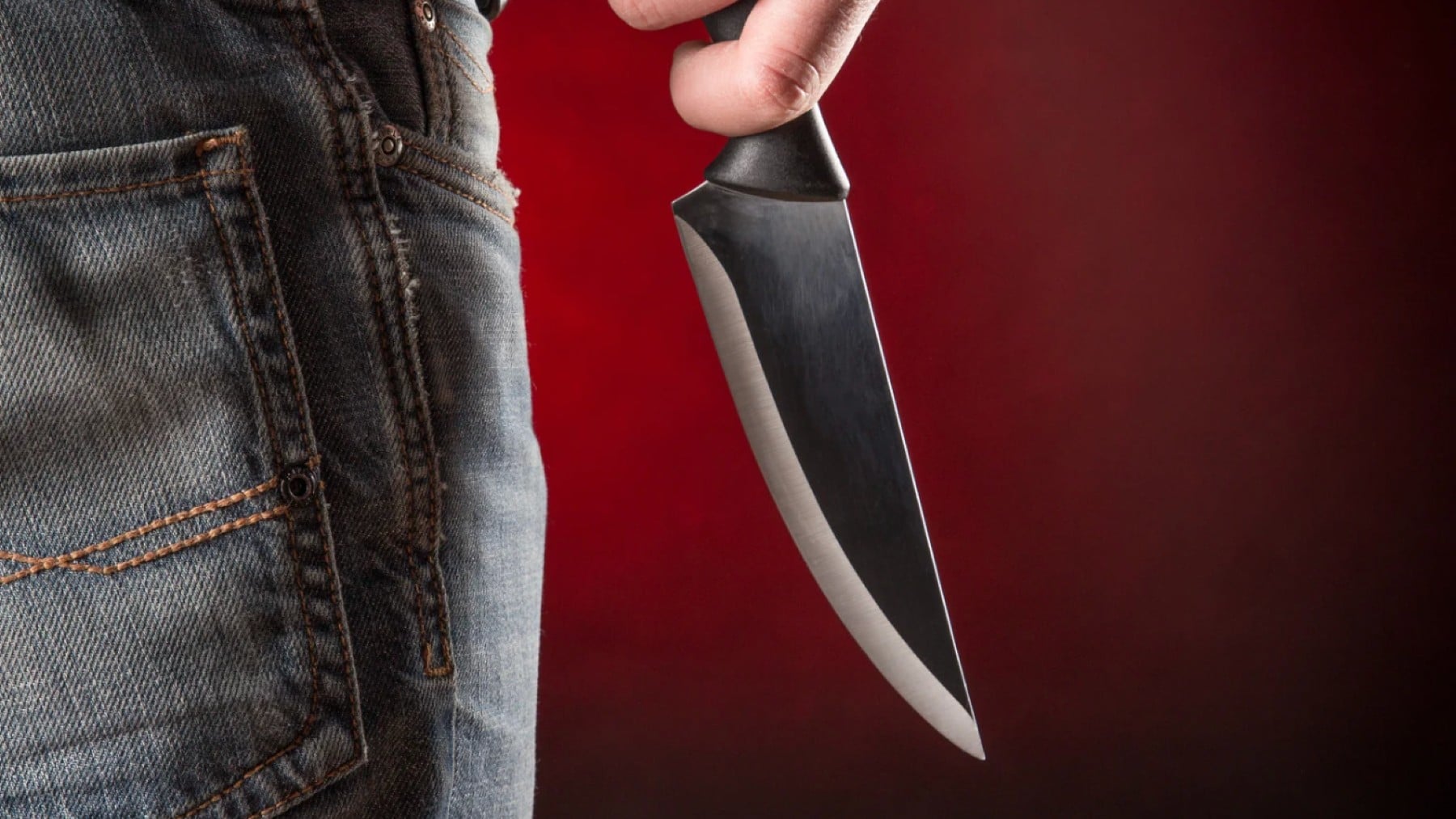 Recomendaciones literarias de la semana_ un ‘thriller’ de terror.