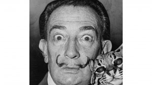 Salvador Dalí, frase, reflexión