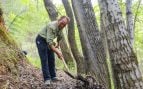 Wang Zhanfeng retira las hojas caídas de un dique en un bosque del condado de Youyu, en la ciudad de Shuozhou, provincia de Shanxi, en el norte de China. Foto: People's Daily Online - Wang Fan
