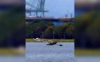 El robot velero ALBATROSS de la SUTD baja girando como una semilla de arce sobre un embalse de Singapur