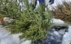 Un participante del proyecto sostiene un árbol de Navidad sobre un agujero abierto en el hielo del lago Saimaa, en Finlandia, antes de hundirlo en el fondo en 2021. Foto: Sirkka Haverinen / Yle
