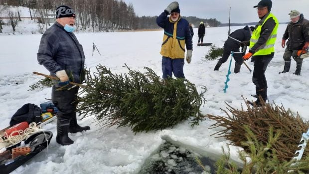 Voluntarios preparan &aacute;rboles de Navidad usados junto a un agujero abierto en el hielo del lago Saimaa, en Finlandia. Esa jornada de 2021 hundieron 80. Foto: Sirkka Haverinen / Yle