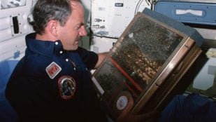 El astronauta James van Hoften sostiene la caja del experimento que llevó abejas al espacio a bordo del Challenger en 1984