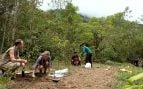 Voluntarios plantan árboles nativos en la última jornada de reforestación de la Reserva Natural Cloudbridge, en el bosque nuboso de Costa Rica. Foto: Reserva Natural Cloudbridge