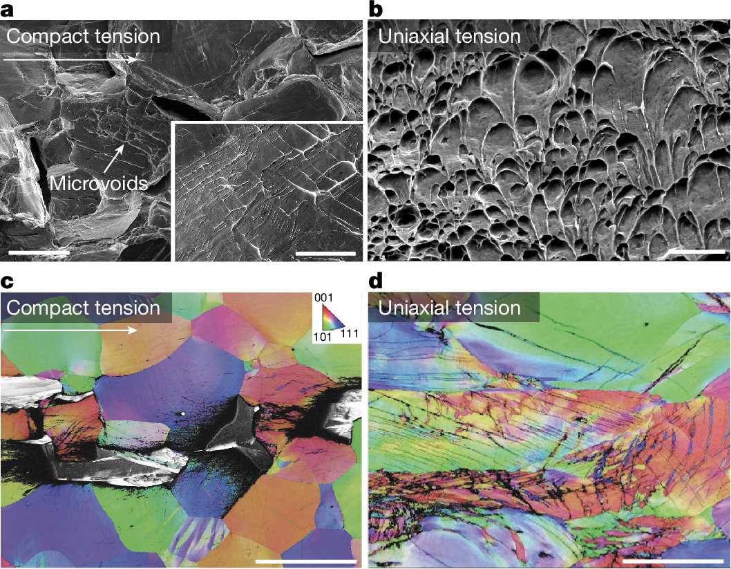 Micrografías y mapas de maclas de la aleación de niobio y titanio Nb45Ta25Ti15Hf15 ensayada a -253 °C