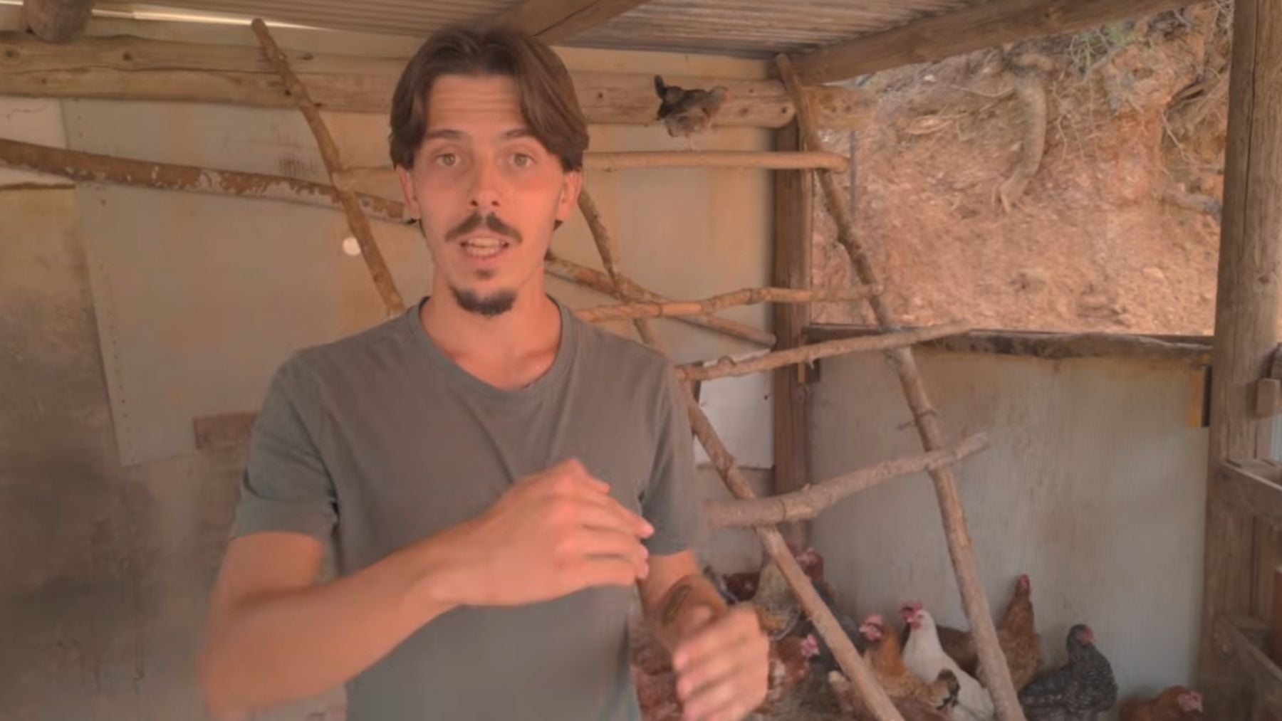 Finca, jóvenes, autosuficiencia, estilo de vida