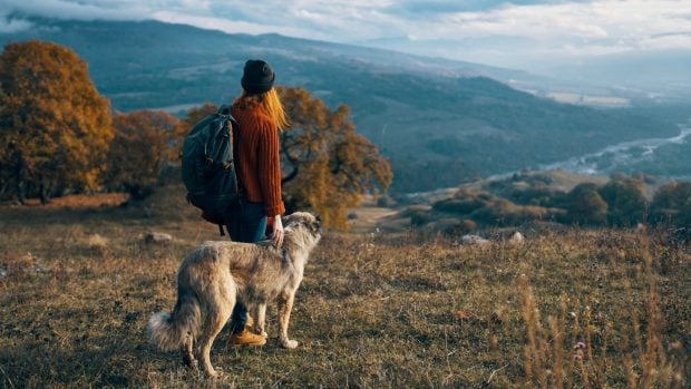 paseo perro montaña