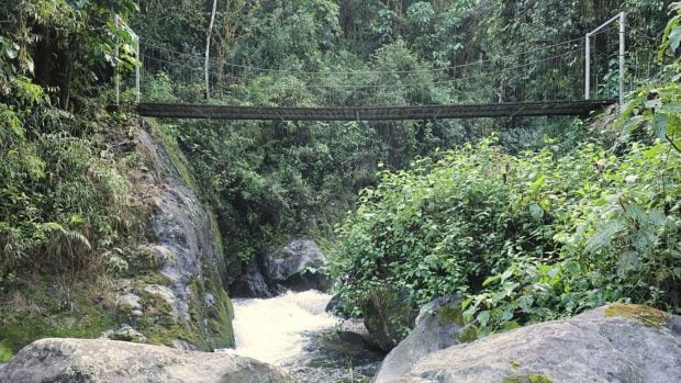 Puente colgante sobre el río Chirripó Pacífico, en la Reserva Natural Cloudbridge (Costa Rica). Foto: Cephas vía Wikimedia Commons - CC BY-SA 4.0