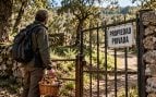 Recoger setas en Málaga, recogida de setas, ir a por setas en una propiedad privada.