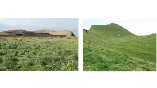 A la izquierda, pastizal en el centro de la colonia de gaviotas de Surtsey, en 2013, con las zonas del cr&aacute;ter todav&iacute;a sin vegetaci&oacute;n. A la derecha, pastizal en la parte alta de Elli&eth;aey, otra isla del archipi&eacute;lago de Vestmannaeyjar, en 2010. Foto: BM - Biogeosciences