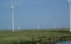 Vacas pastando junto a los aerogeneradores del rancho de Pete Ferrell, el ganadero de Kansas que alberga 50 máquinas del parque Elk River