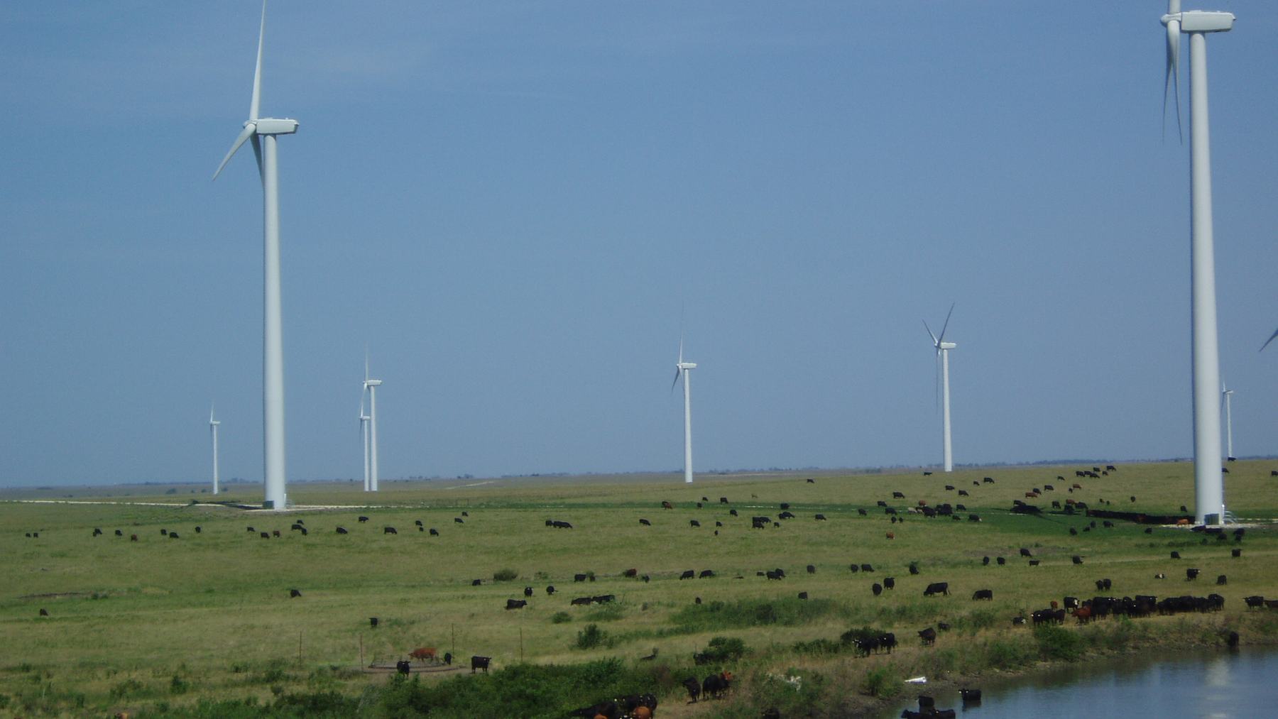 Pete Ferrell, ganadero de Kansas con 50 aerogeneradores en su rancho: «¿Sabéis cuál es mi mejor cosecha? Sopla incluso durante una sequía»