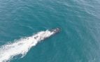 El submarino no tripulado XV Excalibur navega en superficie durante el ensayo de lanzamiento del torpedo Mk 48 en Escocia