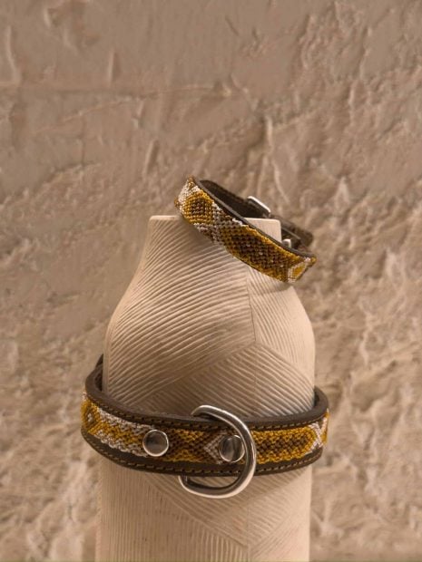 Collar de perro en Luchy Bakery Café