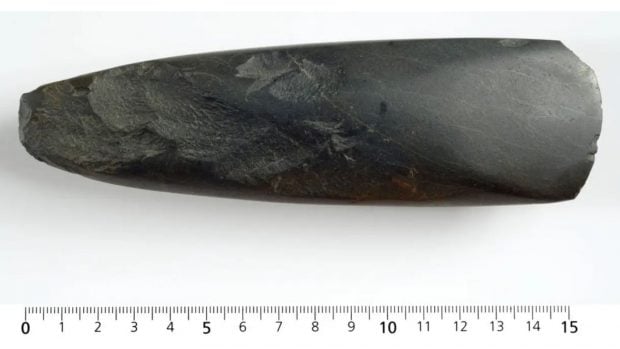 Un hacha de piedra verde de la Edad de Piedra. Foto: Museo Universitario de Bergen