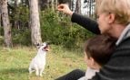 Perro, animales, mascotas