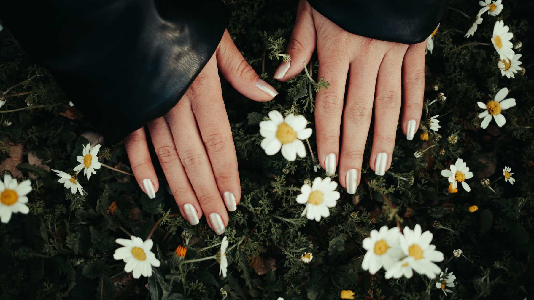 (Foto: Pexels)