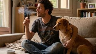 Humo del tabaco en perros y gatos