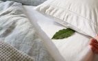 Hoja de laurel bajo la almohada