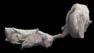 Cerebro de mosca y cordón nervioso del conectoma MaleCNS, con sus 166.700 neuronas, el mapa que usa Stonkfly