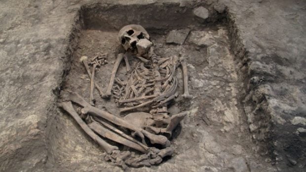 Esqueleto del individuo AY5 en el yacimiento argárico de La Almoloya (Murcia), enterrado entre dos suelos con una piedra en la boca. Foto: UAB-ASOME