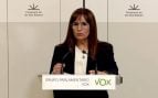 Vox reclama a Prohens «valentía» en inmigración ilegal y vivienda en su discurso del Debate de Política General