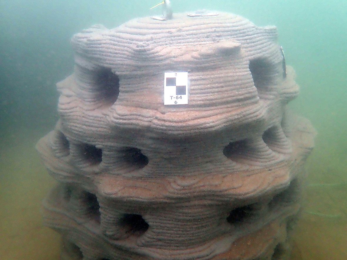 M&oacute;dulo de arrecife artificial de hormig&oacute;n impreso en 3D del proyecto 3DPARE en el fondo de Poole Bay