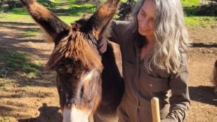 vivir gratis en su finca de 20 hectáreas en Huelva