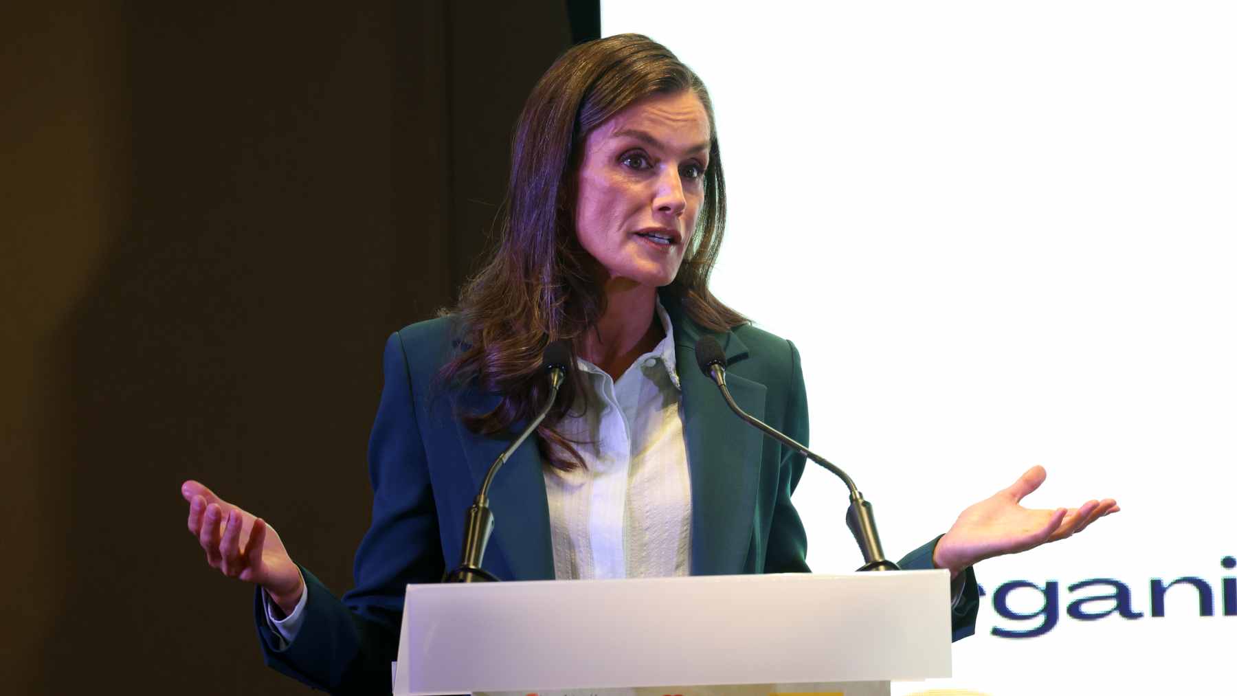 La Reina Letizia durante un discurso. (Foto: Europa Press)