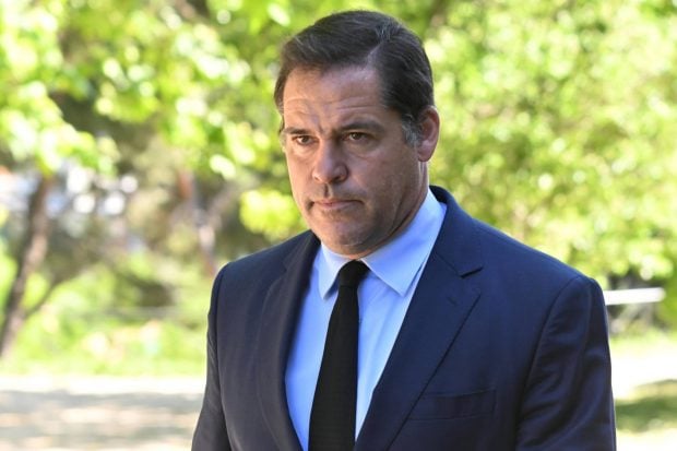 Luis Alfonso de Borb&oacute;n