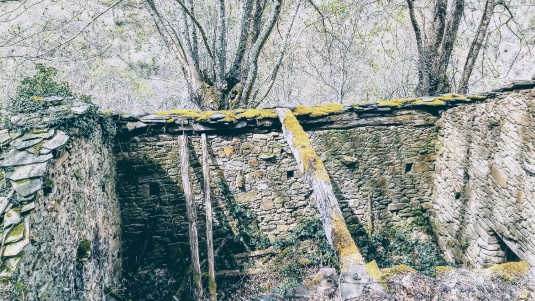 Un joven compra un terreno con dos casetas de piedra abandonadas de más de 100 años por 15.000 € y las restaura desde cero para convertirlas en una vivienda para su madre