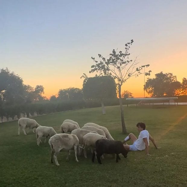 Roca Rey, La Consentida