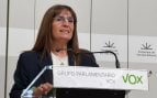 Cañadas recuerda a Prohens que la mayoría de medidas que ha anunciado «se han aprobado gracias a Vox»
