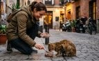 Psicología personas alimentan animales calle
