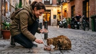 Psicología personas alimentan animales calle