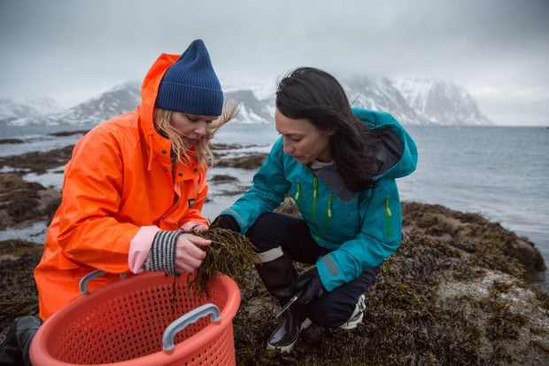 Angelita Eriksen y Tamara Singer de Lofoten Seaweed | @arni_coraldo Angelita Eriksen y Tamara Singer de Lofoten Seaweed | @arni_coraldo