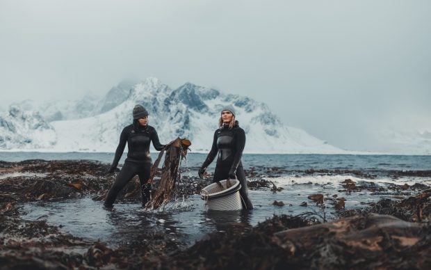 Angelita Eriksen y Tamara Singer de Lofoten Seaweed | @morten_munthe