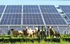 ahorro fotovoltaica UNEF