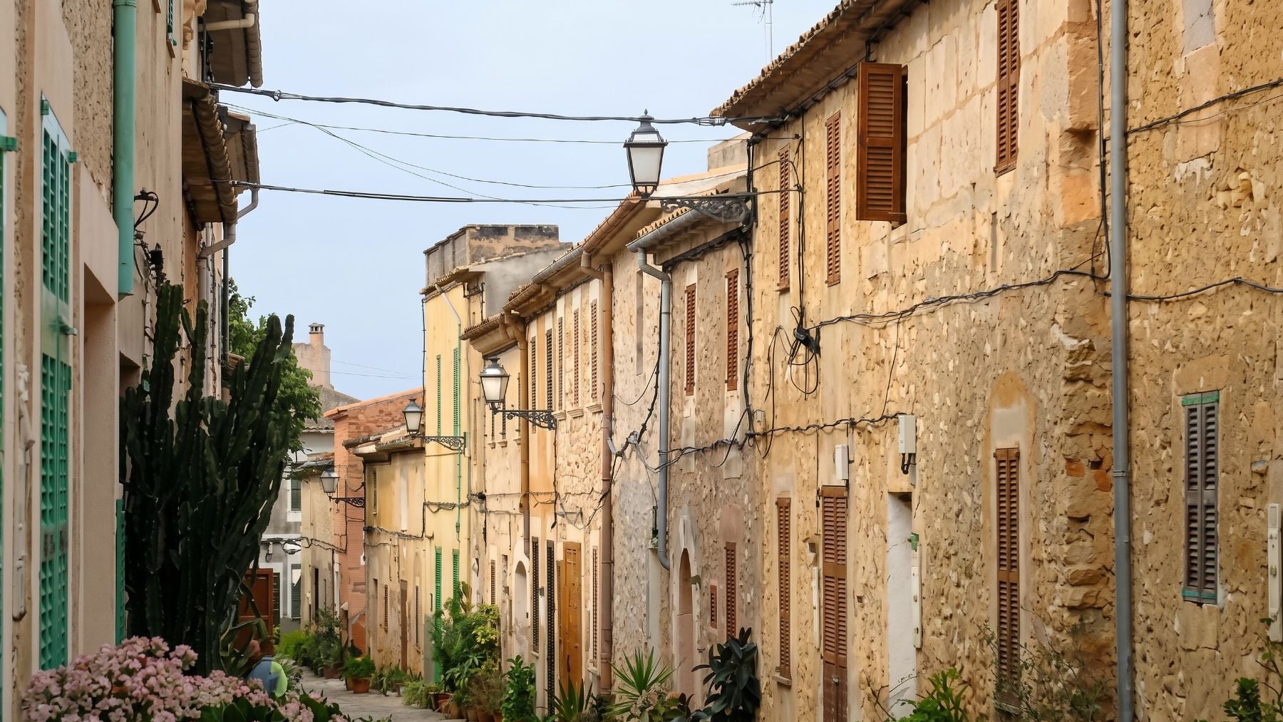 Varias viviendas ubicadas en la Part Forana de Mallorca.